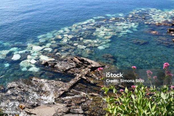 Elevated View Of A Cliff Overlooking The Sea With Wild Flowers And Rocks Rapallo Genoa Liguria Italy Stock Photo - Download Image Now