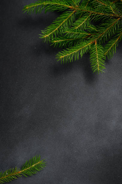 istock Vertical photo Christmas fir branches on dark background with copy space. Empty dark table top view 1409659407