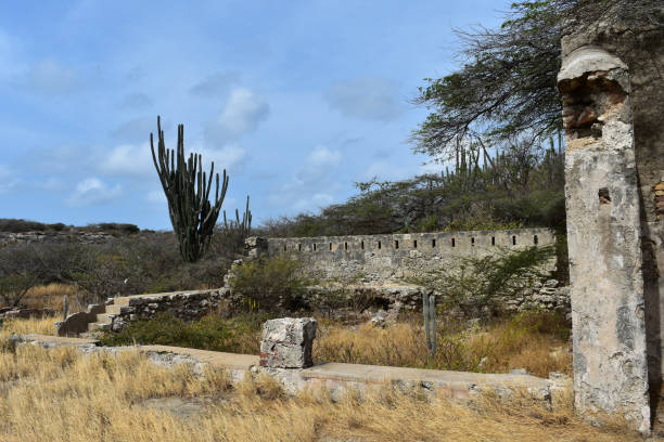 Cactus growing amount the deserted ruins of Balashi Gold Mill.