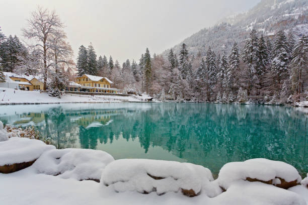 istock Blausee in the Bernese Alps, Switzerland 1409662622