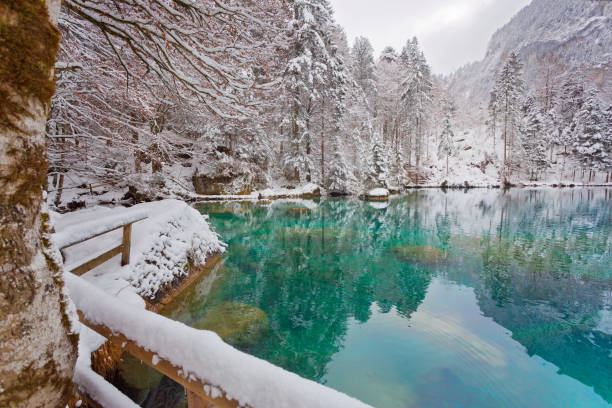 istock Blausee in the Bernese Alps, Switzerland 1409662923