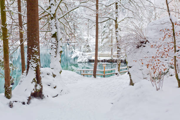 istock Blausee in the Bernese Alps, Switzerland 1409663072