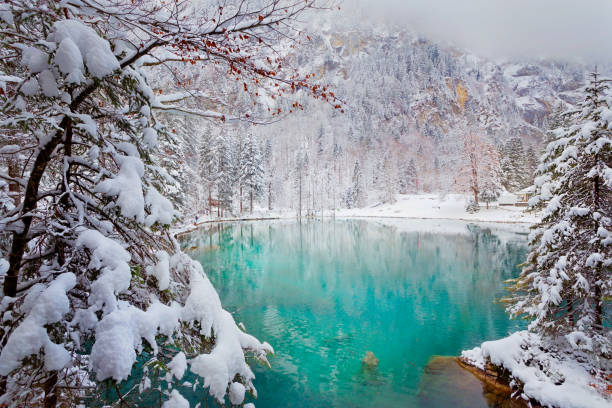 istock Blausee in the Bernese Alps, Switzerland 1409663313