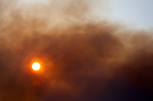 Sun obstructed by a cloud of smoke during the fire that ravaged the Monts d'Arrée on July 18, 2022.