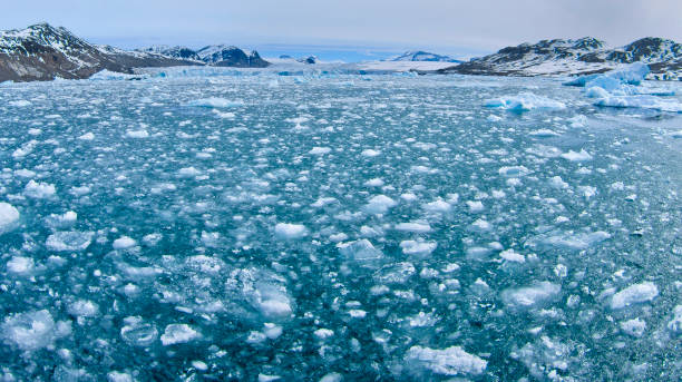istock Drift floating Ice, Albert I Land, Norway 1409666402