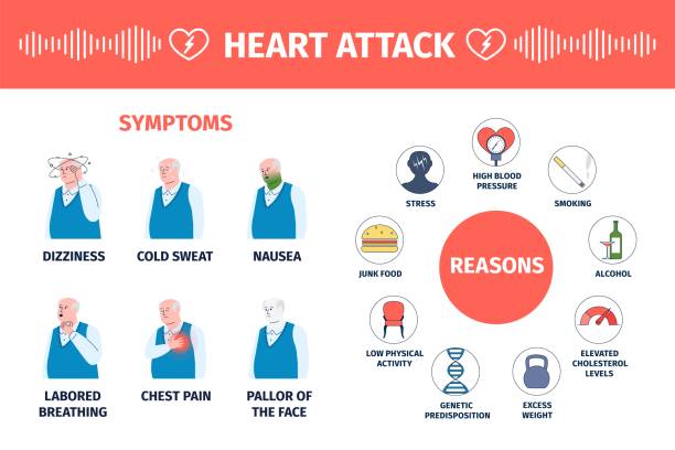 ilustraciones, imágenes clip art, dibujos animados e iconos de stock de síntomas de ataque cardíaco. razones de la enfermedad isquémica póster infográfico con el anciano. medicina cardiovascular plana, hombre con náuseas y sudor banner vectorial reciente - pain heart attack heart shape healthcare and medicine