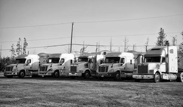 istock White Trucks in a parking lot. 1409668294