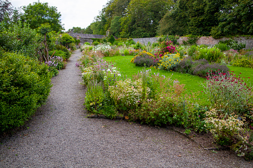 A path trough flower garden