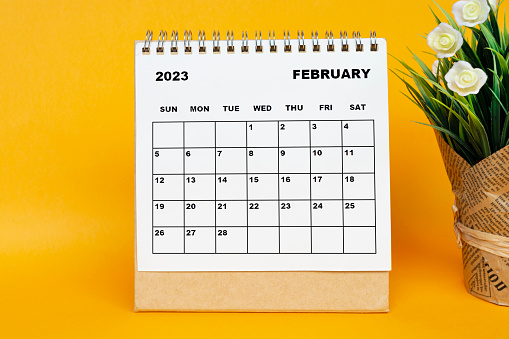 White February 2023 calendar with potted plant on yellow background. 2023 New Year Concept