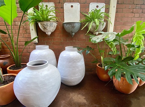 Horizontal group of Terracotta and white large garden pots against brick wall in plant nursery