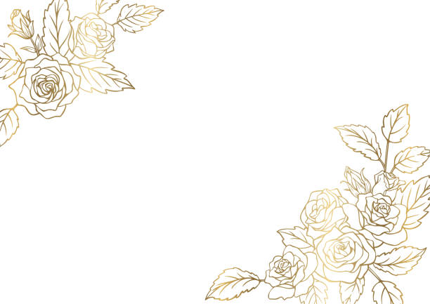 ilustrações de stock, clip art, desenhos animados e ícones de frames for design with rose decorated flowers. golden line drawing on white background. - frame flower ornamental garden beauty in nature