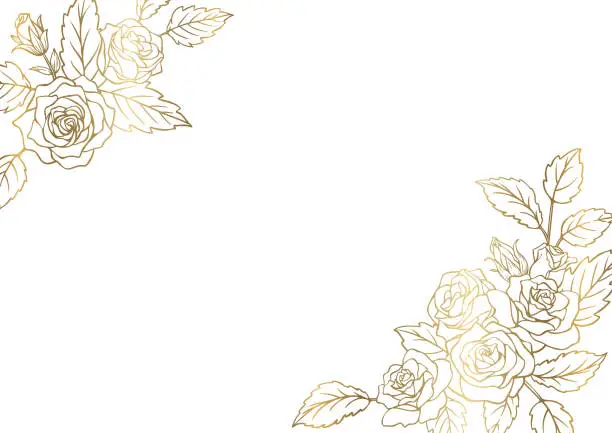 Vector illustration of Frames for design with rose decorated flowers. Golden line drawing on white background.