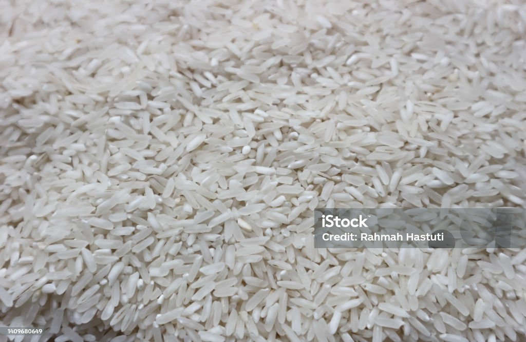 White Rice Fram White Rice Stock Photo - Download Image Now - 2015, Agriculture, Asia ...