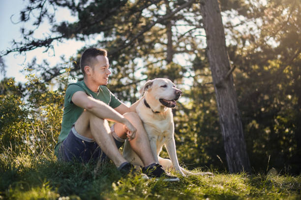 istock Man with his dog resting in grass under tree 1409684524