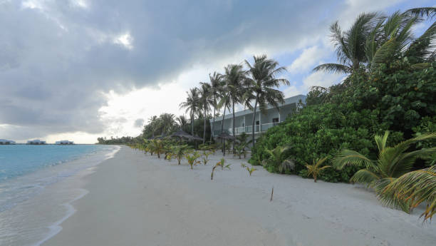 istock palm trees on white sand on a tropical island 1409687484