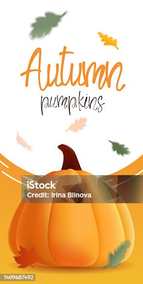 istock Banner autumn with illustration of realistic pumpkins and flying leaves. 1409687492