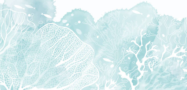 kunstsee-hintergrundvektor. luxuriöses design mit unterwasserpflanzen und aquarellspritzern. template-design für text, verpackung und drucke. - seaweed stock-grafiken, -clipart, -cartoons und -symbole