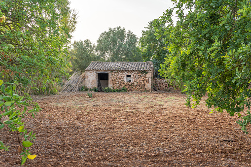 Small rural abandoned house on the island of Mallorca, Spain. Image of rural Spain abandoning the villages for the city
