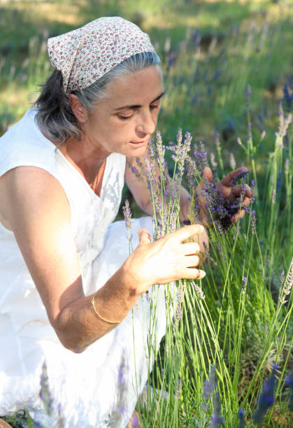 istock Woman picking lavender in the field 1409690031