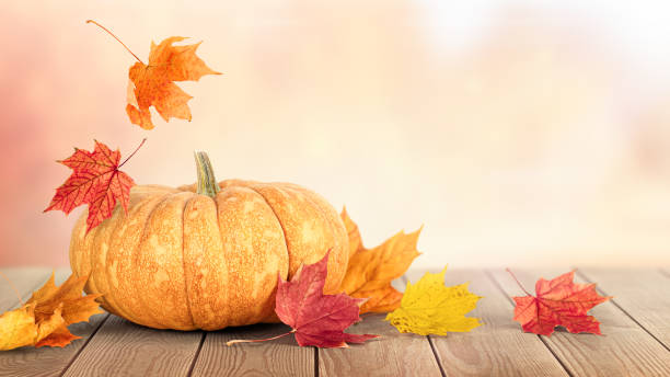 istock pumpkin and autumn leaves 1409691326