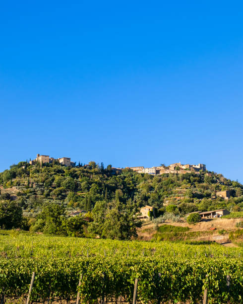 istock Brunello di Montalcino Vineyard - Tuscany 1409691805