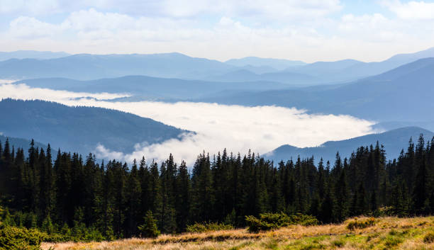 Beautiful hills and mist in the Carpathian mountains. Beautiful hills and mist in the Carpathian mountains. Ukraine. low viewing point stock pictures, royalty-free photos & images