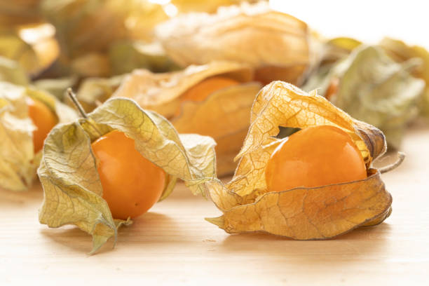 Fresh Physalis Fruit - Cape Gooseberry - Golden berries - isolated in plain white background - macro detailing - studio lighting - ample copy space