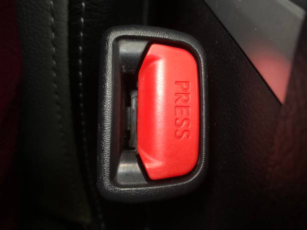 istock car seat belt photo 1409709859