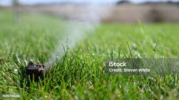 Winterizing A Irrigation Sprinkler System By Blowing Pressurized Air Through To Clear Out Water Stock Photo - Download Image Now