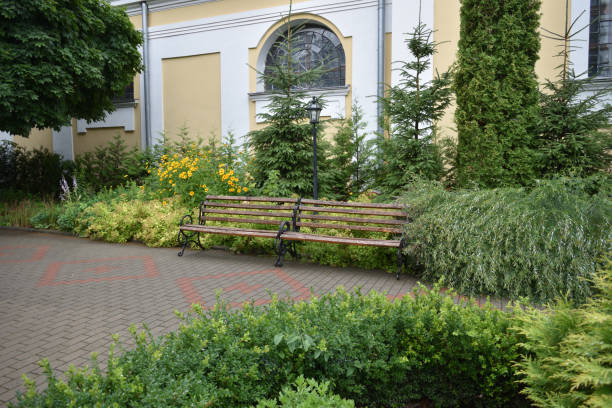 istock Benches in the green courtyard 1409713297