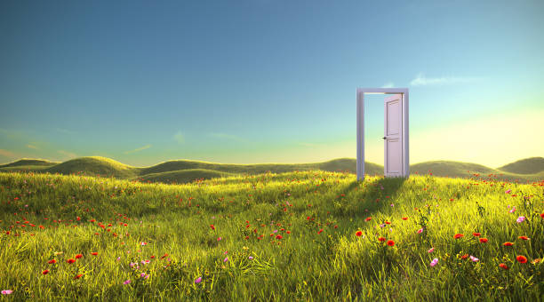 una puerta abierta en el prado, render 3d - puerta abierta fotografías e imágenes de stock