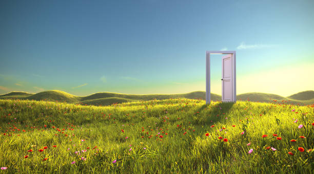 An open door in the meadow, 3d render An open door in the meadow doorway stock pictures, royalty-free photos & images