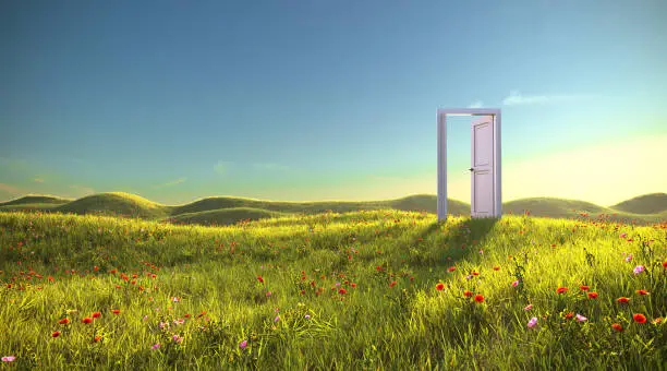 Photo of An open door in the meadow, 3d render