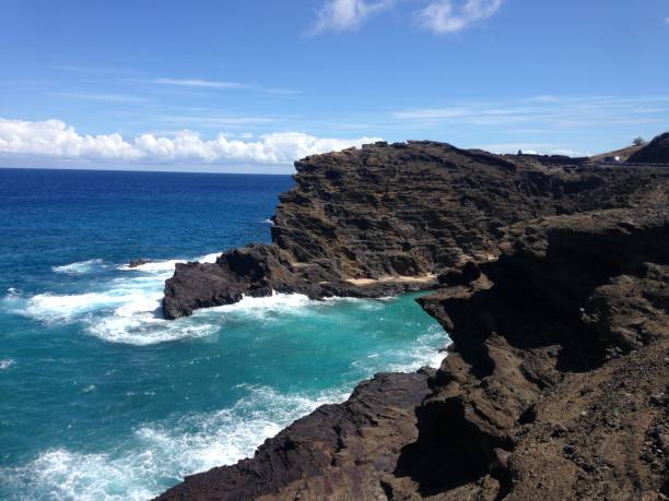 istock Koko Crater Botanical Garden 1409715882