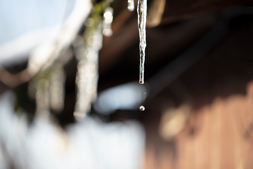 Icicles drip from the roof. The arrival of spring.