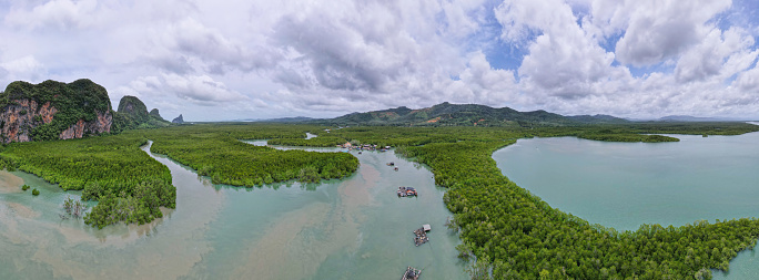 Aerial view drone shot of beautiful nature landscape forest in the sunny day. Drone flying over sea and mangrove forest Landscape High angle view. Dynamic aerial shot Amazing nature panorama view