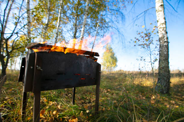 A fire burns in the brazier against the backdrop of nature and forest.