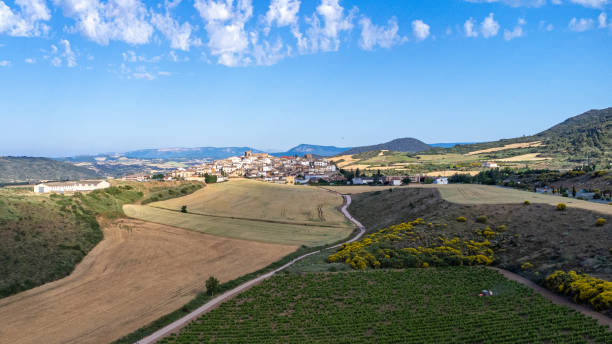 istock Camino de Santiago Drone View 1409724337