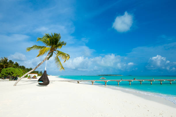 istock tropical Maldives island with white sandy beach and sea 1409725121