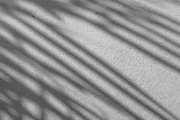 istock Black and White abstract background texture of shadows leaf on a concrete wall. 1409725374