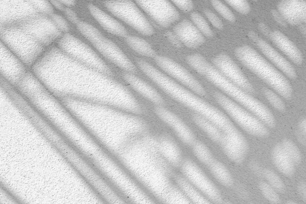istock Black and White abstract background texture of shadows leaf on a concrete wall. 1409726810