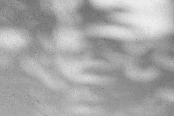 istock Black and White abstract background texture of shadows leaf on a concrete wall. 1409726825