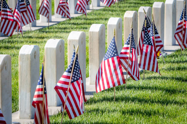 military headstones and gravestones decorated with flags for memorial day - marines military veteran armed forces imagens e fotografias de stock