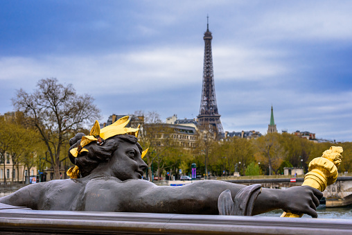 Panorama Gargoyle on Notre Dame Cathedral, France