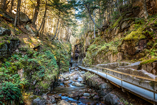 Trail along the Flume Brook Canyon in the Flume Gorge, New Hampshire