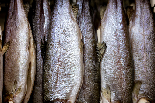 Close-up on the scales of some fish hanging in the fridge of a commercial kitchen - food and drink concepts