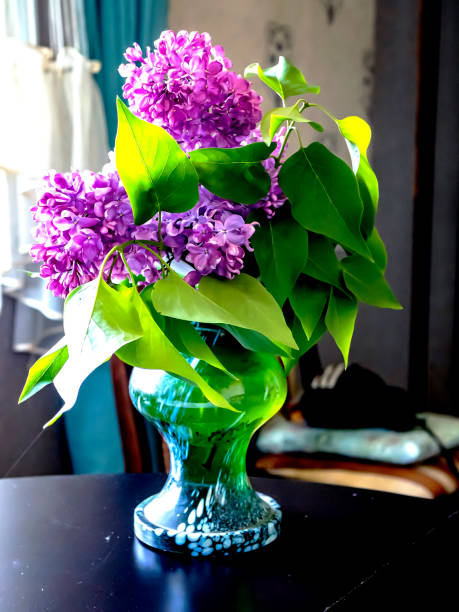 istock bright bouquet of lilacs in a vase 1409734563