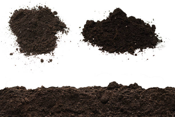 istock Black land for plant isolated on white background. 1409734583