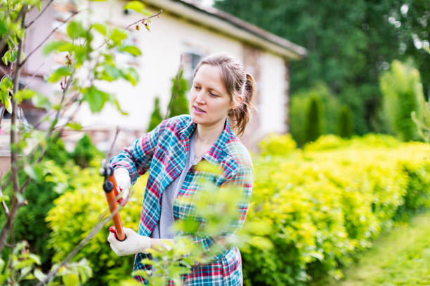 istock Young Woman Trimming Bushes 1409734627