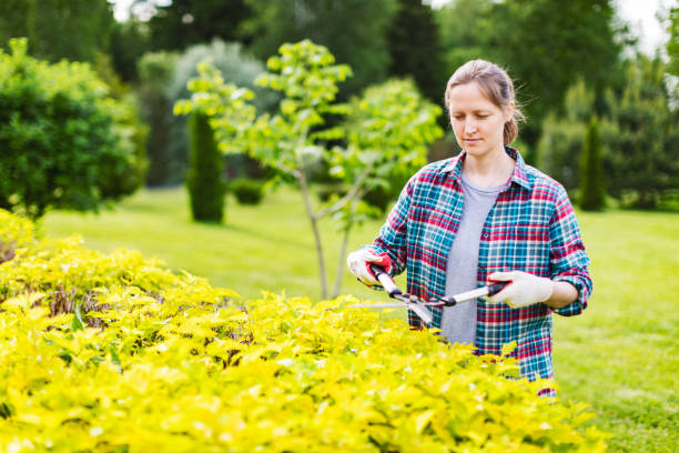 istock Young Woman Trimming Bushes 1409735036